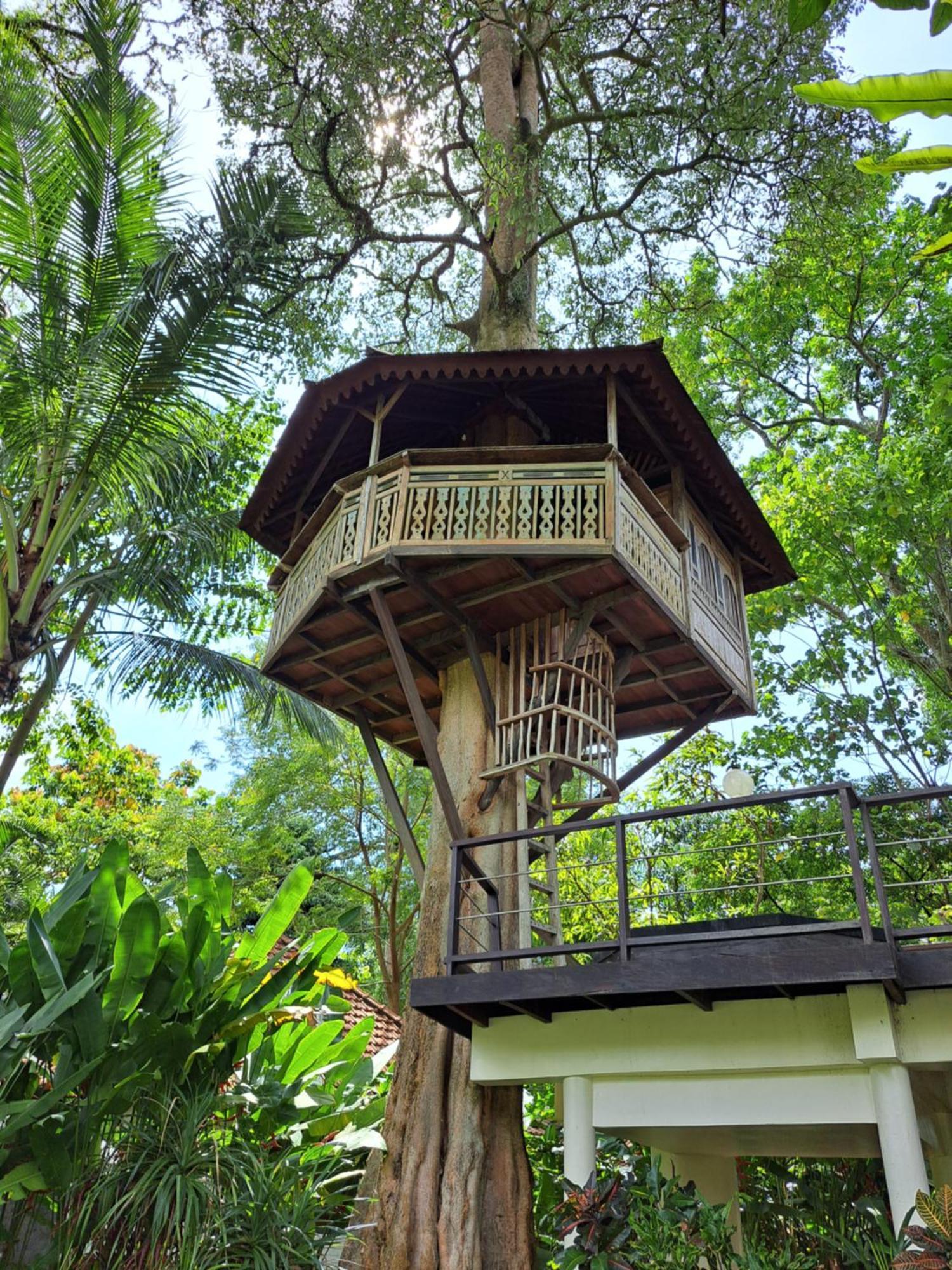 Green Bird Villa - Chse Certified Ubud Exterior foto